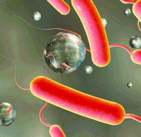 काठमाडौंमा हैजाले भयावह रूप लिनसक्ने त्रास:यी हुन् लक्षण र जाेगिने उपाय