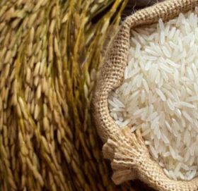 बुधबार धान दिवसः २७ अर्बको चामल र १५ अर्बको धान आयात