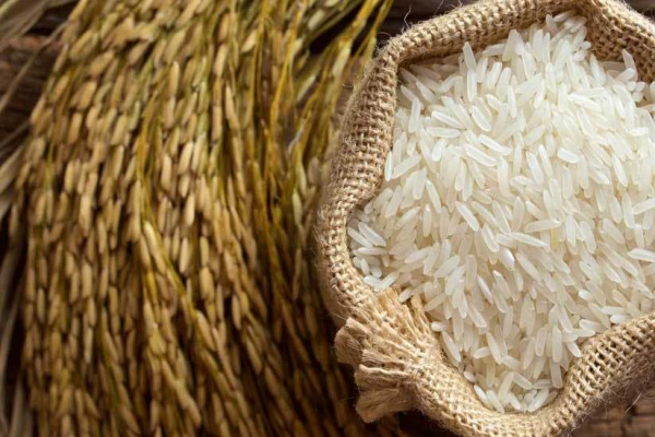 बुधबार धान दिवसः २७ अर्बको चामल र १५ अर्बको धान आयात