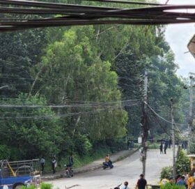 भक्तपुर सल्लाघारीका रुख काट्न थलियो