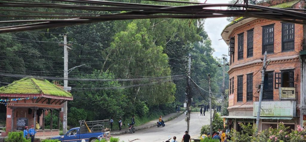 भक्तपुर सल्लाघारीका रुख काट्न थलियो
