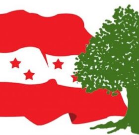 कांग्रेसको प्रमुख सचेतकमा यादव र सचेतकमा विश्वकर्मा मनोनीत