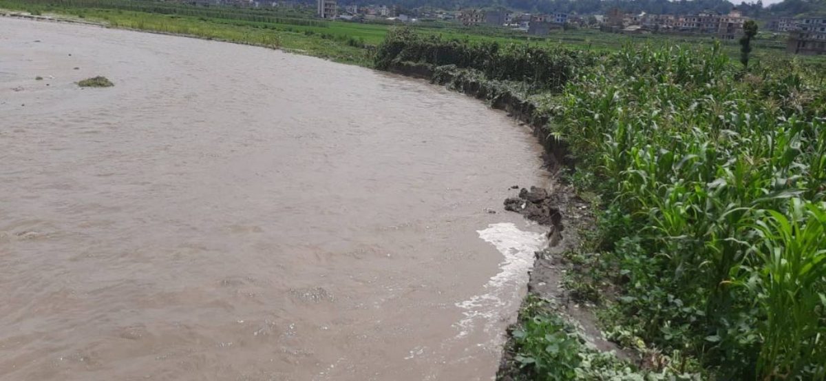 मनोहरा खोलामा बाढी: सुकुमबासी बस्ती र प्रहरी प्रभाग डुबानमा