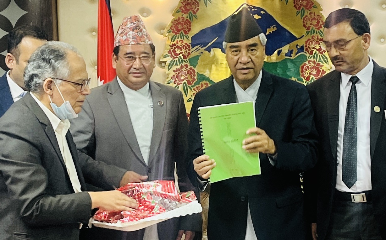 विज्ञ समूहको निष्कर्ष : निजगढमा नै विमानस्थल उपयुक्त