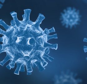 नेपालमा थप ८१ जनामा कोरोना संक्रमण पुष्टि