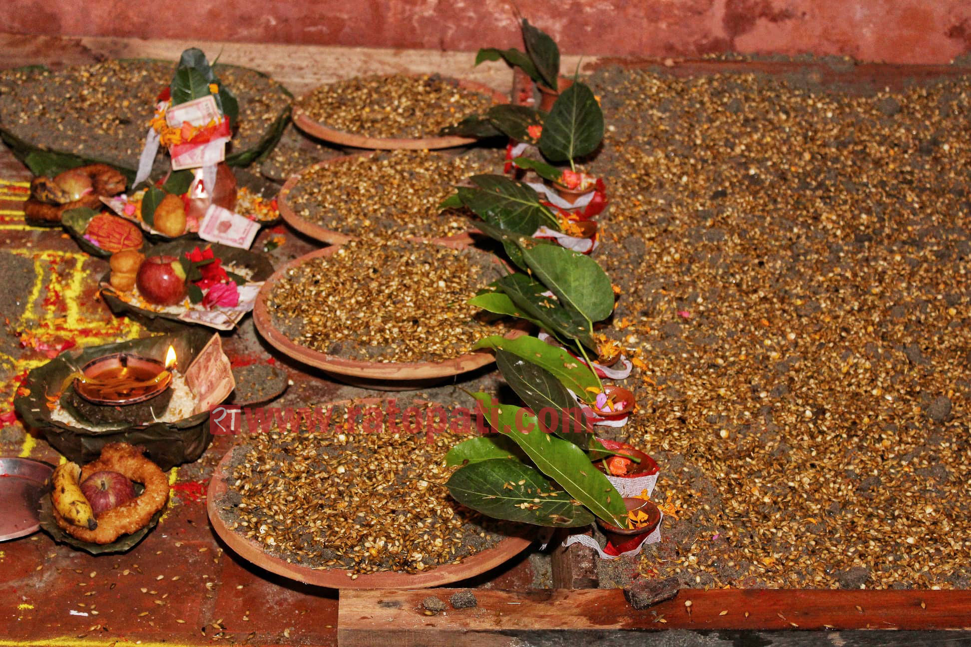 आजबाट बडा दशैं सुरू, घर-घरमा घटस्थापना गरेर जमरा राखिंदै