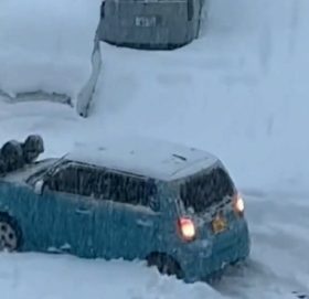 अमेरिकामा चिसोबाट मृत्यु हुनेको संख्या ४८ पुग्यो