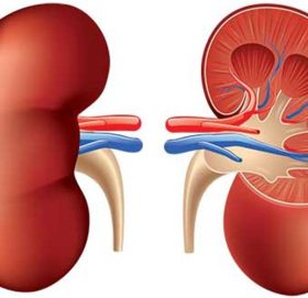 कर्णाली प्रदेश अस्पताल : पहिलो पटक मिर्गौला प्रत्यारोपण गर्दै