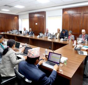 योजना आयोगकाे सदस्यमा ज्ञवाली, शाक्य र महत नियुक्त