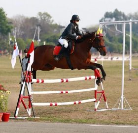 आज घोडेजात्रा पर्व मनाइँदै, उपत्यकामा सार्वजनिक विदा