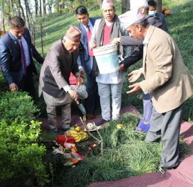 राष्ट्रपति पौडेलद्वारा वनकालीमा वृक्षरोपण