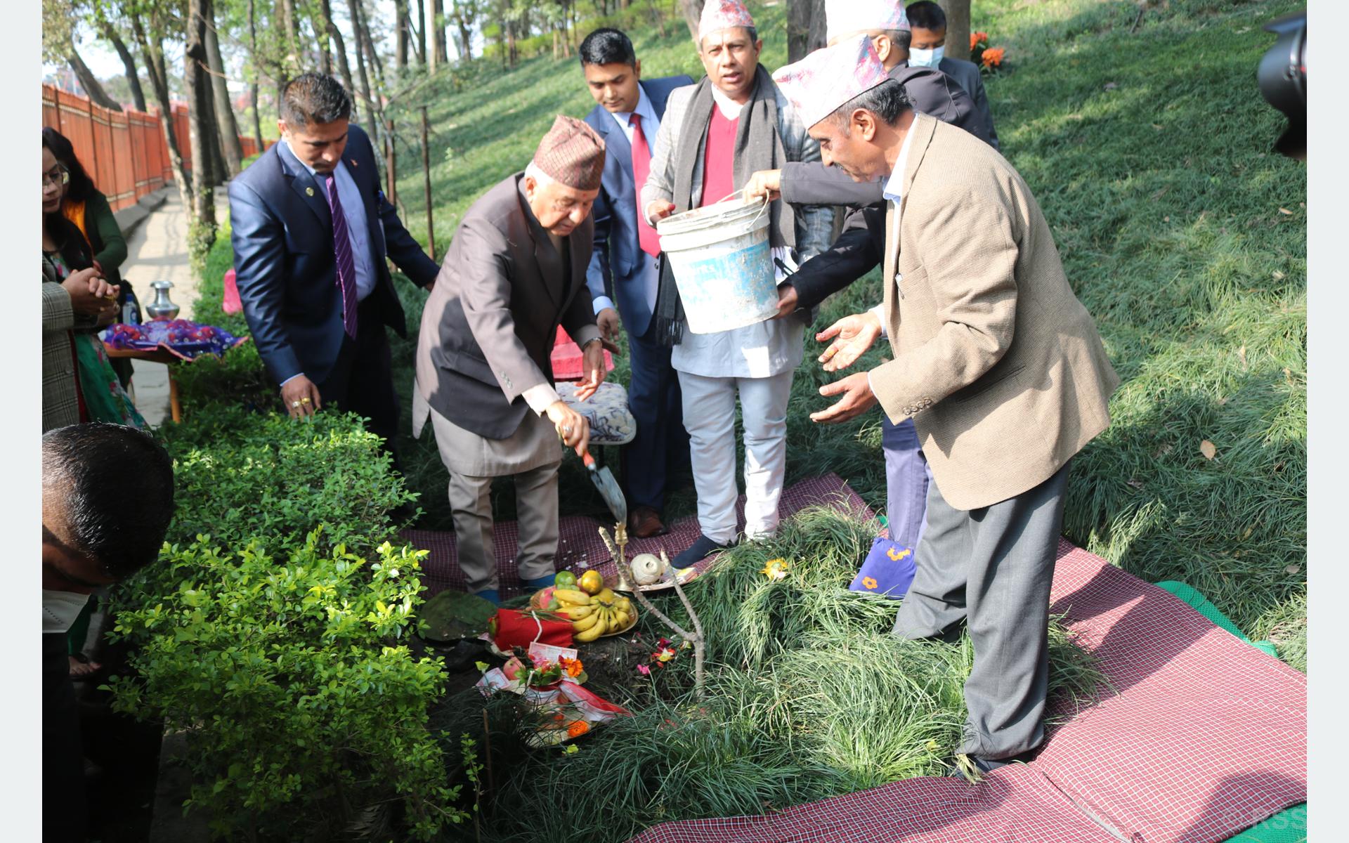 राष्ट्रपति पौडेलद्वारा वनकालीमा वृक्षरोपण