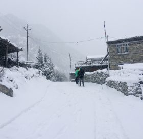 सिक्किमको हिउँ पहिरोमा परेर तीन नेपालीको मृत्यु, मृत्यु हुनेमा चितवनका २ र रुपन्देहीका एक