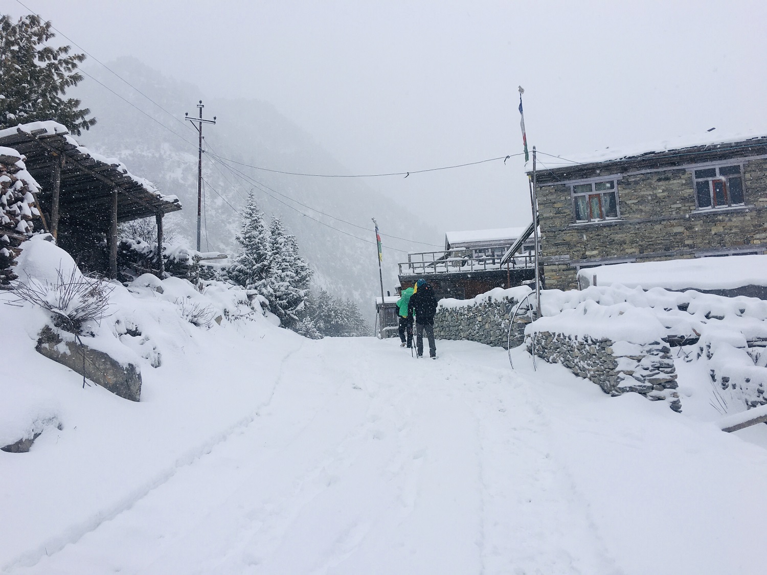सिक्किमको हिउँ पहिरोमा परेर तीन नेपालीको मृत्यु, मृत्यु हुनेमा चितवनका २ र रुपन्देहीका एक