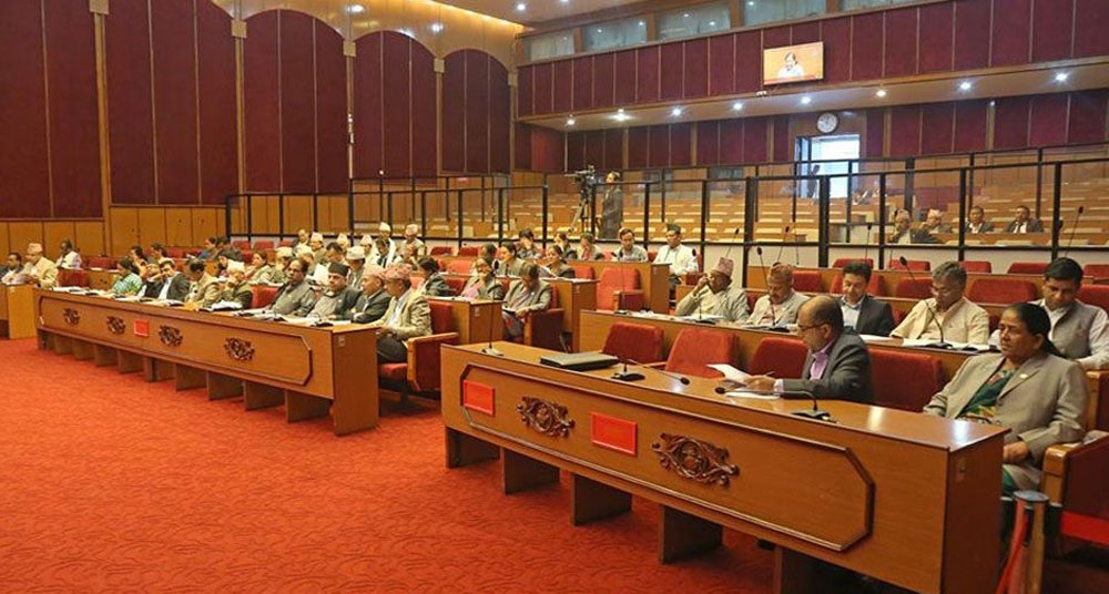 राष्ट्रियसभाबाट नीति तथा कार्यक्रम पारित