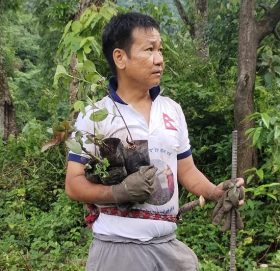 मेयर साम्पाङलाई अदालतको आदेश: ‘व्यक्तिको जग्गामा अनधिकृत रूपमा प्रवेश र वृक्षरोपण नगर्नू’