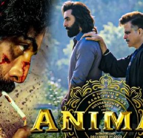 ‘एनिमल’ले ९ दिनमा ६६०.८९ करोड कमायाे