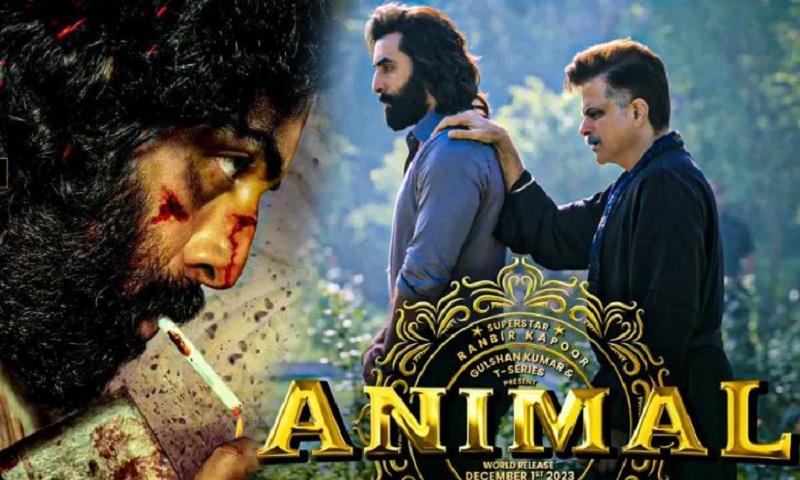 ‘एनिमल’ले ९ दिनमा ६६०.८९ करोड कमायाे