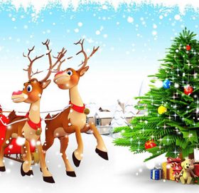 आज ‘क्रिसमस डे’को सार्वजनिक बिदा