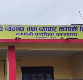 कर्णालीको १९ हजार टन रैथाने बाली खरिद गर्दै व्यापार कम्पनी