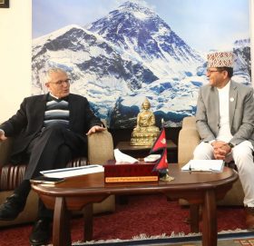 अध्यक्ष तिमिल्सिना र नेपालका लागि इजरायलका राजदूत गोल्डबर्गरबीच भेट