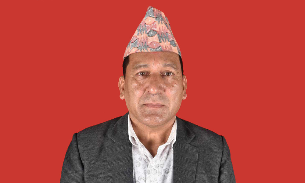 बझाङ प्रदेशसभामा एमालेका दमन भण्डारी विजयी