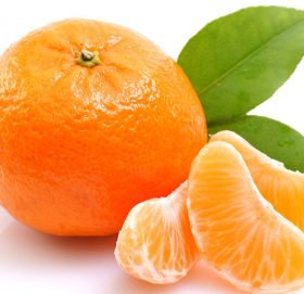 सुन्तला ‘राष्ट्रिय फल’ घोषित