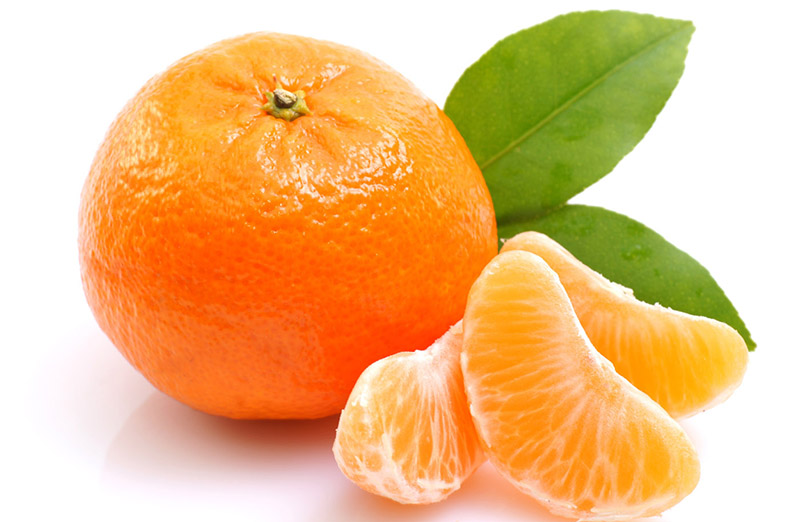 सुन्तला ‘राष्ट्रिय फल’ घोषित