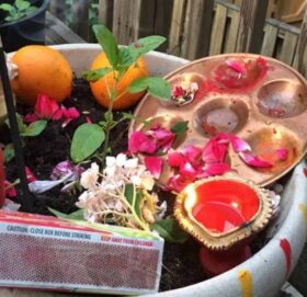 घरघरमा तुलसीको दल राखी निर्जला एकादशी पर्व मनाइँदै