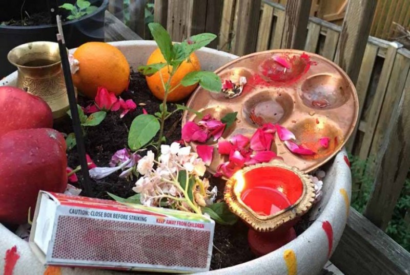 घरघरमा तुलसीको दल राखी निर्जला एकादशी पर्व मनाइँदै