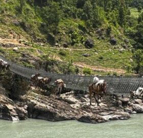झोलुंगे पुलमा अड्किएका खच्चडलाई नदीमा खसालेर उद्धार गरिँदै