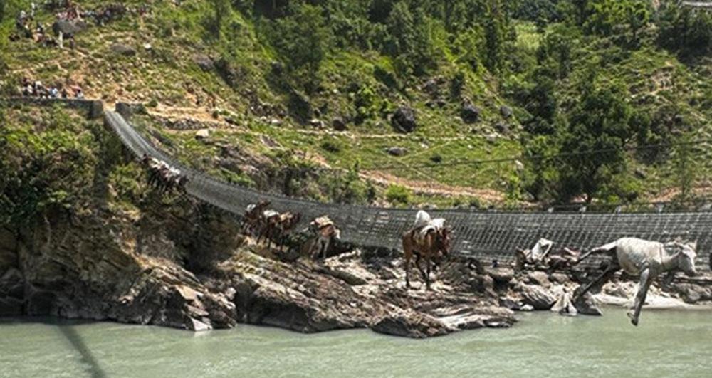 झोलुंगे पुलमा अड्किएका खच्चडलाई नदीमा खसालेर उद्धार गरिँदै