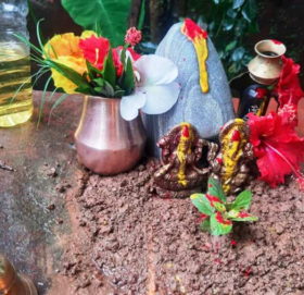 आज हरिशयनी एकादशी, तुलसीको बिरुवा सारिँदै