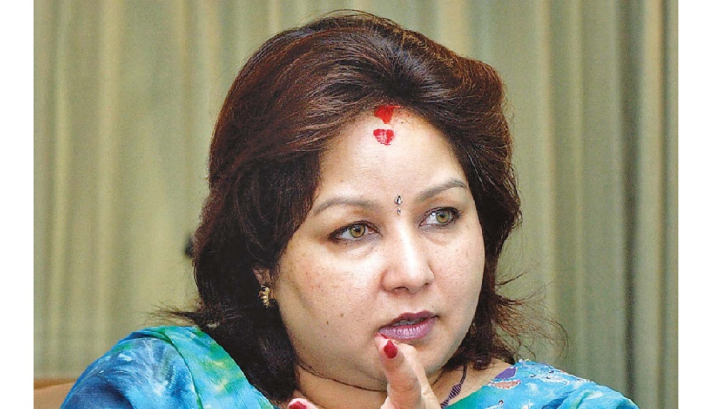 विपिनको रिहाइबारे परराष्ट्रमन्त्री राणाले गरिन् इजिप्टका विदेशमन्त्रीसँग फोनवार्ता