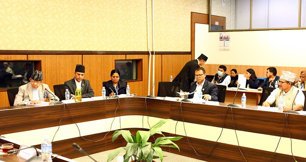 विभिन्न देशका लागि सिफारिस भएका १८ राजदूतविरुद्ध उजुरी आह्वान