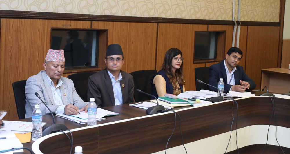 प्रतिवेदनलाई अन्तिम रूप दिने सहकारी छानबिन विशेष समितिको तयारी