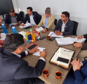 तीनकुने घटना : उच्च न्यायिक छानबिन आयोग गठन गर्न रास्वपाको माग