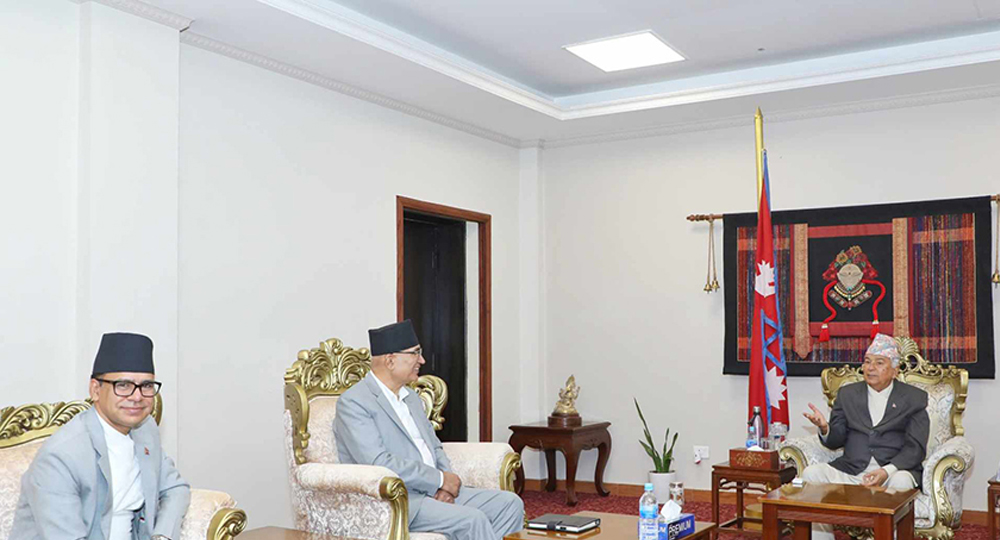 राष्ट्रपतिसमक्ष अर्थमन्त्रीद्वारा बजेटबारे ब्रिफिङ