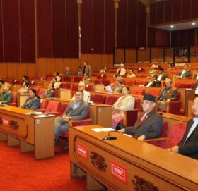 दलित समुदायको अधिकारबारे राष्ट्रिय सभामा छलफल हुँदै