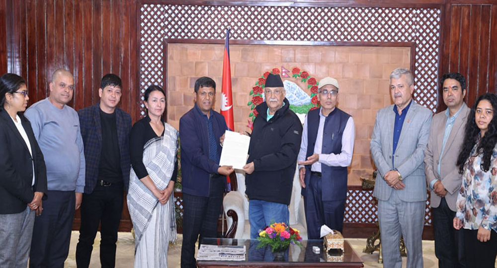 एमाले पनि पीडित पार्टी हो : प्रधानमन्त्री ओली