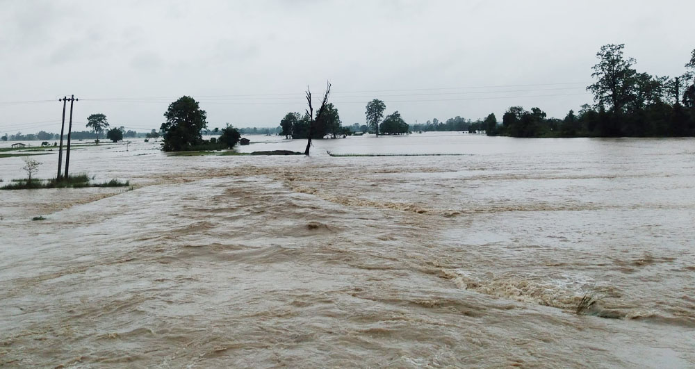 जलविद्युत् आयोजना बगाएको पाँच दिनपछि भोटखोलामा पाँच वटा काठेपुल पनि बाढिले बगायो