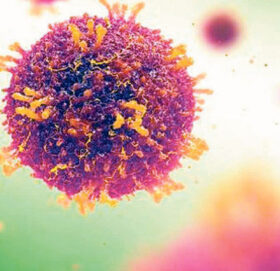 भारतमा फैलिएको कोरोना नेपाल भित्रियो, सुदूरपश्चिममा तीन जनामा पुष्टि