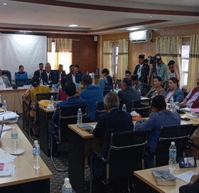 नागरिकता विधेयकमा एनआरएनएको सुझाव लिँदै संसदीय समिति