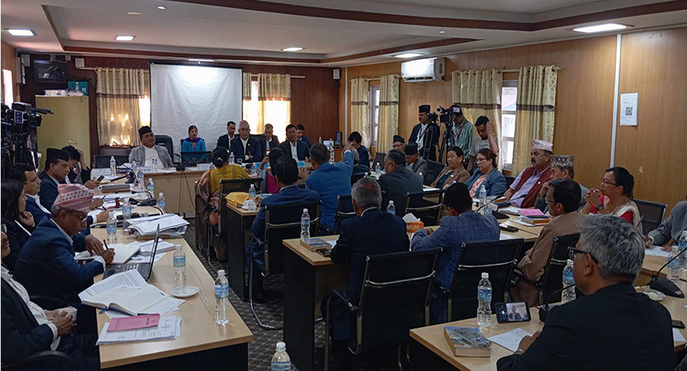 नागरिकता विधेयकमा एनआरएनएको सुझाव लिँदै संसदीय समिति