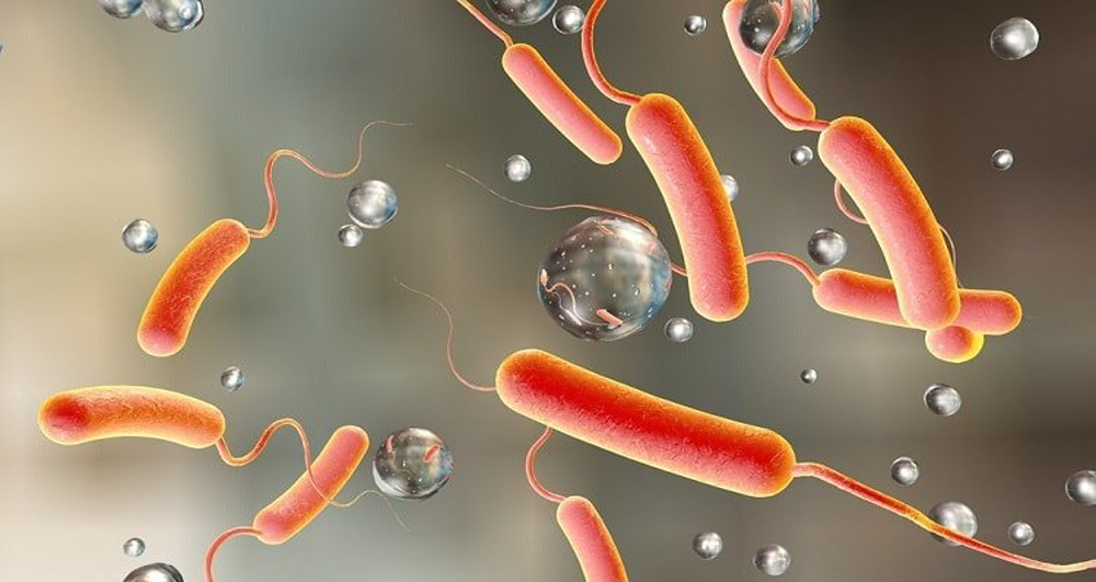 हैजाको प्रकोप बढेपछि वीरगन्जका शैक्षिक संस्थाहरू दुइ दिन बन्द