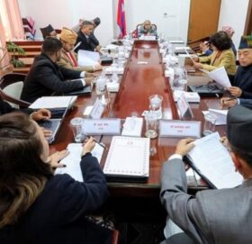 पुस १५ गतेलाई राष्ट्रिय च्याउ दिवसका रूपमा मनाउने सरकारको निर्णय