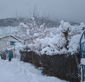 रसुवाको उत्तरी भेकमा वर्षासँगै भारी हिमपात‚ जनजीवन प्रभावित