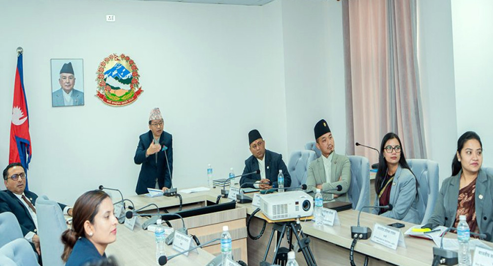 मन्त्रीहरूलाई परराष्ट्रको प्रशिक्षण