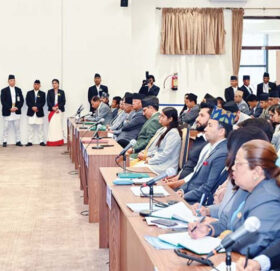 प्रतिनिधिसभा बैठक बस्दै, नीति तथा कार्यक्रममाथि छलफल हुने