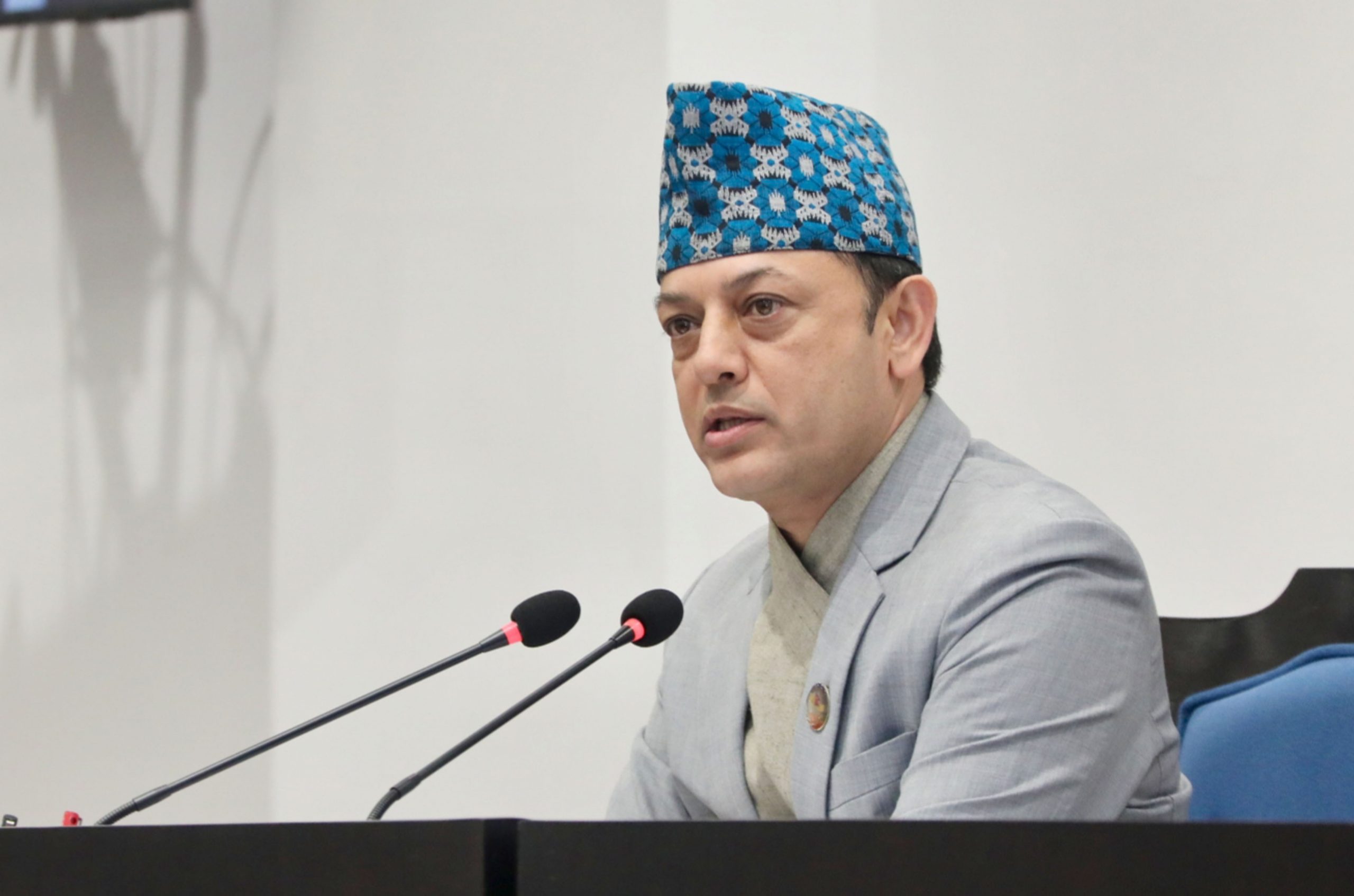 प्रतिनिधि सभामा दुई विधेयक पेस, अर्को बैठक बिहीबार